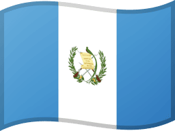 Guatemala — Washed